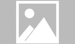 捉鱼视频,视频中的欢乐海洋之旅